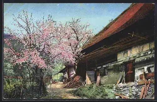 Künstler-AK Photochromie Nr. 3005: Gutaschtal, Wohnhaus im Schwarzwald