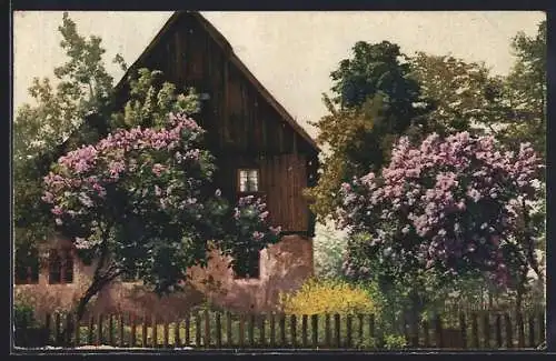 AK Photochromie NR. 4520: Schönes Landhaus mit Fliederbäumen