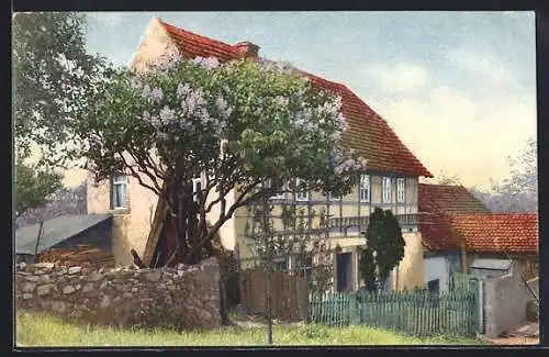 AK Photochromie NR 1195: Baum vor einem Haus