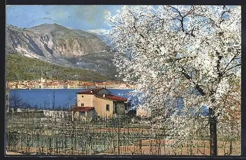 Künstler-AK Photochromie Nr. 1823: Panorama mit Seeblick, Stadt und Baumblüte