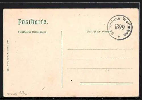 AK Sterzing, Totalansicht mit dem Hühnerspiel von der Vallerbachpromenade