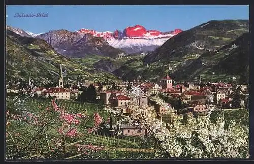 AK Bolzano-Gries, Teilansicht mit Bergen