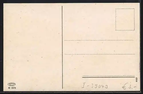 AK Sterzing am Brenner, Teilansicht mit Bergen