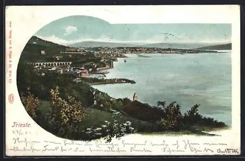 AK Trieste, Panorama mit Wasserpartie
