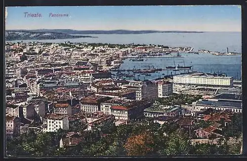 AK Trieste, Panorama