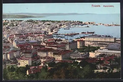 AK Trieste, Panorama