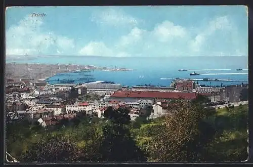 AK Trieste, Panoramablick auf den Hafen