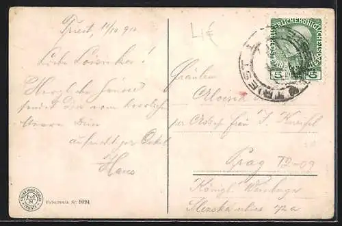 AK Trieste, Panoramablick auf den Hafen