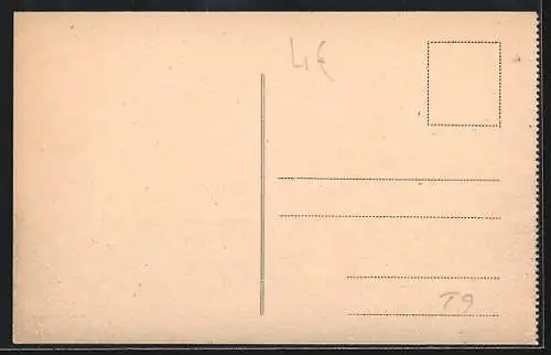 AK Trieste, Totalansicht vom Berg aus