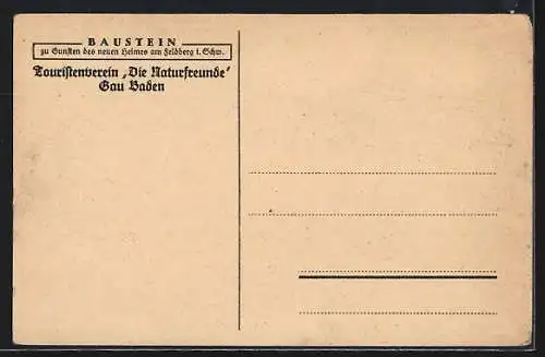 Künstler-AK Feldberg i. Schw., Haus des Touristenvereins Die Naturfreunde