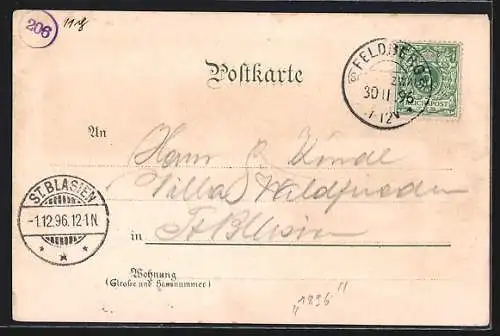 Lithographie Feldberg / Schwarzwald, Aussichtsturm und Feldbergsee
