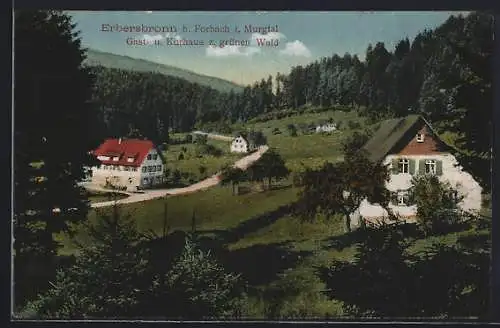 AK Erbersbronn b. Forbach i. Murgtal, Gast- und Kurhaus z. grünen Wald