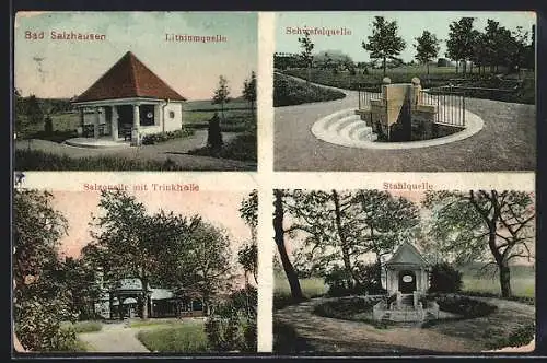 AK Bad Salzhausen, Lithiumquelle, Schwefelquelle, Salzquelle mit Trinkhalle, Stahlquelle