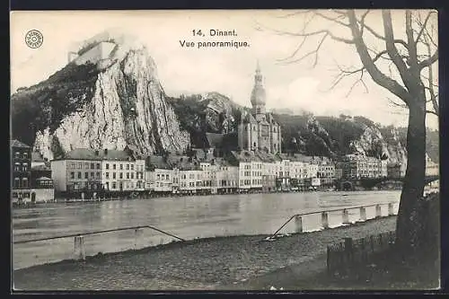 AK Dinant, Vue panoramique