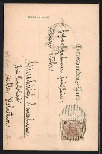 Vorläufer-Lithographie Steyr, 1895, Stadtpanorama, Werndl-Monument, Österreichische Waffenfabrik, Weisse Blumen, um 1900