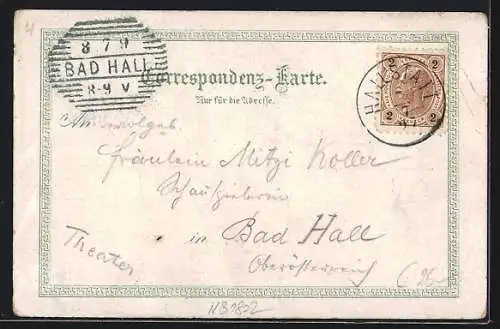 Lithographie Hallstatt, Ortsansicht, Mühlbachfall, Hotel Seeauer u. Kath. Kirche