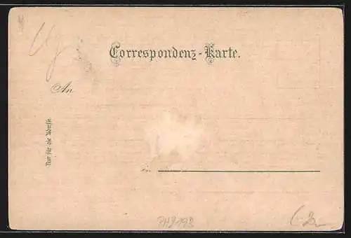 Lithographie Hallstatt, Ortsansicht, Waldbachstrub, Gosaumühle