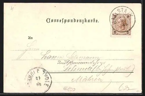 Lithographie Hallstatt, Hotel Seeauer, Mühlbachfall, Ortsansicht am Hallstätter See