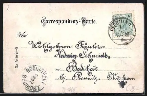 Lithographie Eferding, Ortsansicht, Aussichtsturm am Maihoferberg