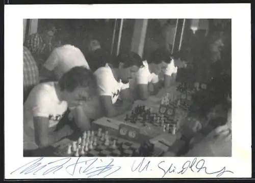 AK Pula, XXII. Intern. Mannschaftsfestival 1979 im Schach