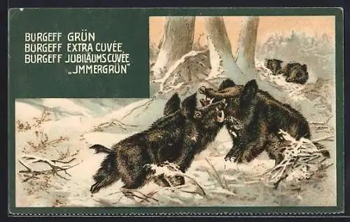 AK Burgeff Grün, Wildschweine, Wein