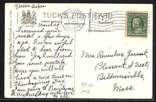 Präge-AK Truthähne mit Kürbissen auf einem Feld, Thanksgiving