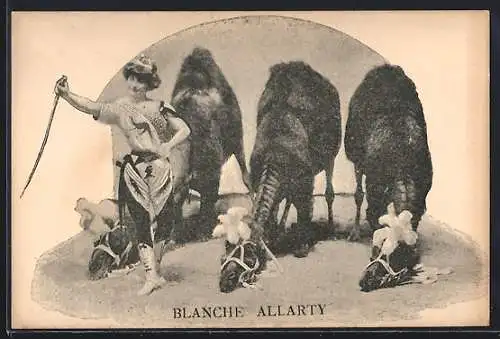 AK Blanche Allarty, dressierte Kamele