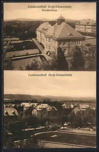 AK Gross-Schweidnitz, Landesanstalt, Krankenhaus