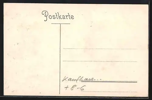 AK Hannover, Kaufhaus J. W. Sältzer, Abteilung für Seidenwaren