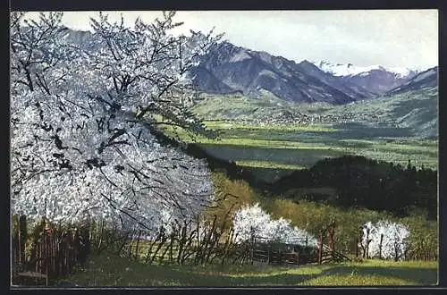 Künstler-AK Photochromie Nr. 2716: Obstblüte in Tirol
