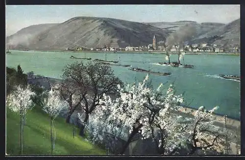 AK Photochromie NR.2415: Lastkähne auf einem Fluss