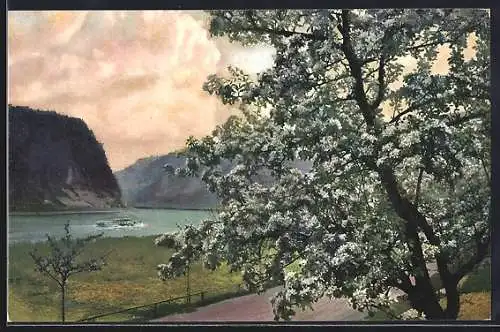 Künstler-AK Photochromie Nr. 2432: Blühende Bäume am Flussufer