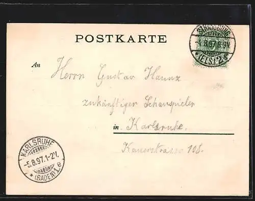 AK Strassburg, Das Münster