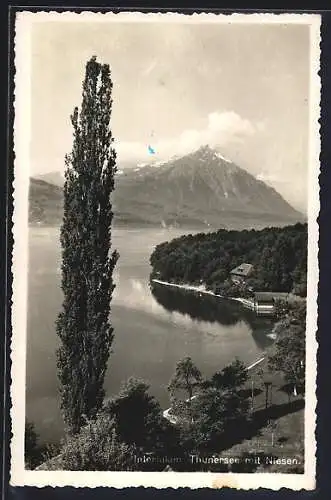 AK Interlaken, Thunersee mit Niesen