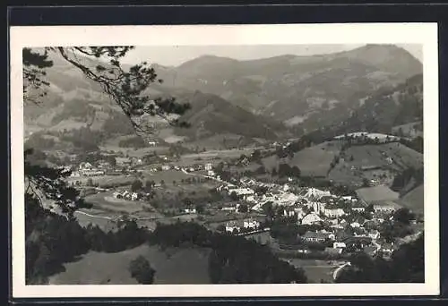 AK Türnitz /N.-Öst., Totalansicht von einen Berg aus