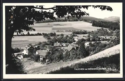 AK Tauchen b. Mönichkirchen, Blick auf den Ort