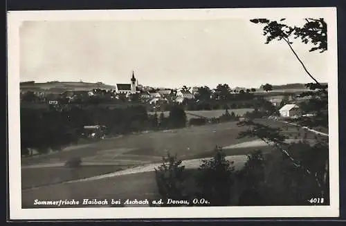 AK Haibach bei Aschach a. d. Donau, Ortsansicht aus der Vogelschau