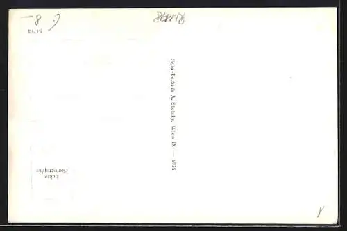 AK Braunau am Inn, Innbrücke