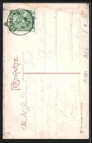 Künstler-AK Eugen Felle: Die Donau v. Passau nach Wien, Vogelschaubild N. III.