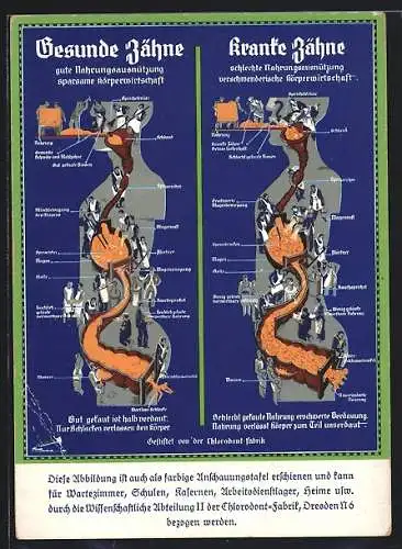AK Gesunde Zähne - gute Verdauung, kranke Zähne - schlechte Verdauung, Vergleichendes Schaubild