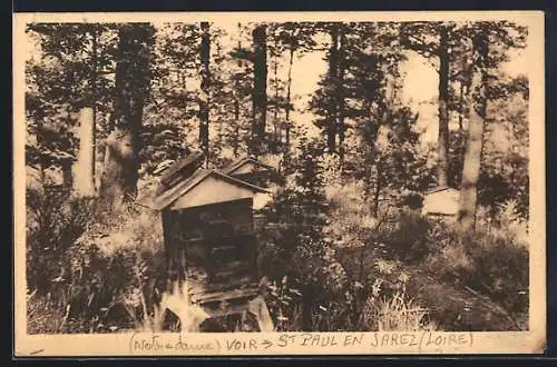 AK Saint-Paul-en-Jarez, N. D. de Barollière, Le Rucher