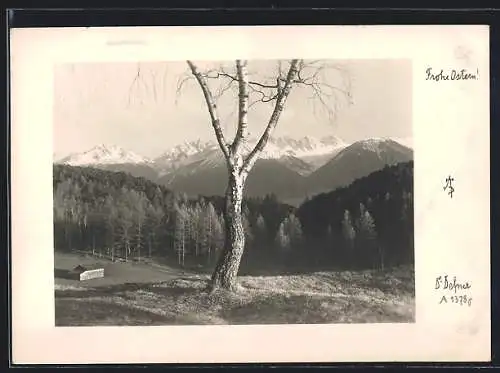 Foto-AK Adalbert Defner: Frohe Ostern!, Frühling in den Alpen