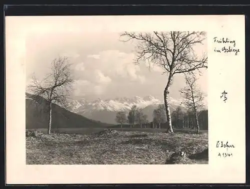Foto-AK Adalbert Defner: Frühling im Gebirge