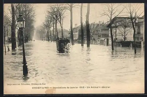 AK Choisy-le-Roi, Inondations de 1910, Un Animal à décorer