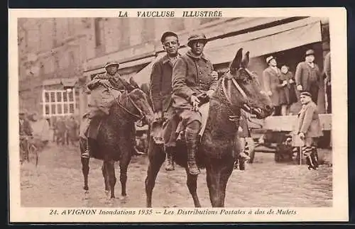 AK Avignon, Inondation 1935, Les Distributions Postales à dos de Mulets