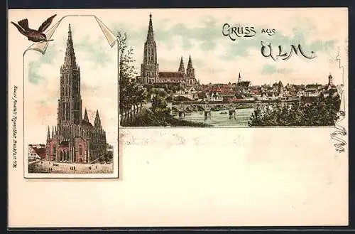 Lithographie Ulm / Donau, Blick auf das Münster, Ortsansicht