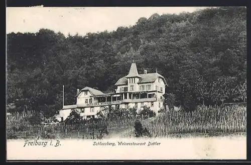 AK Freiburg i. Br., Schlossberg, Weinrestaurant Dattler