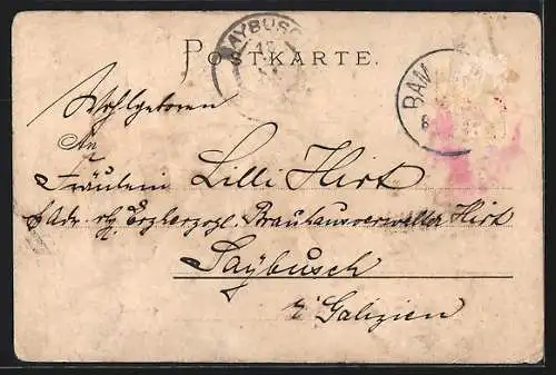 Lithographie Bamberg, Totalansicht