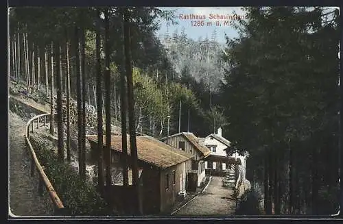 AK Schauinsland, Rasthaus Schauinsland, Seitenansicht mit Waldweg