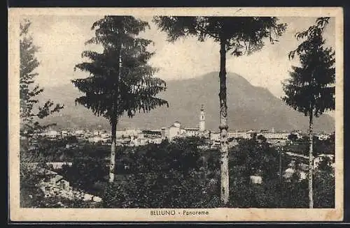 AK Belluno, Panorama